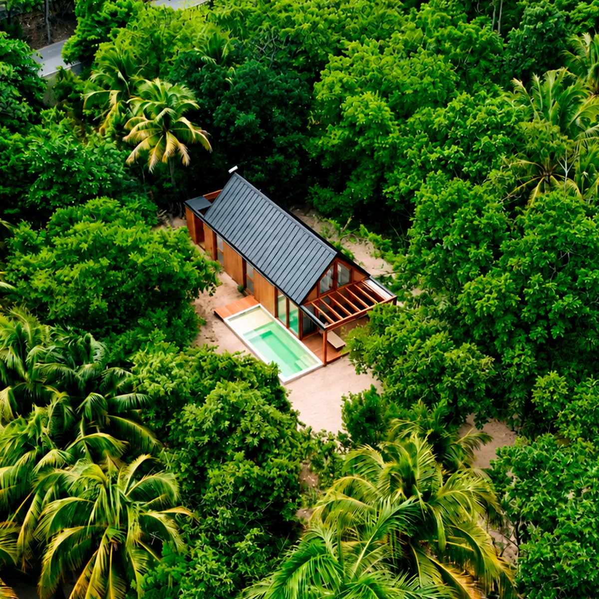 Wooden villa with pool surrounded by tropical palm trees